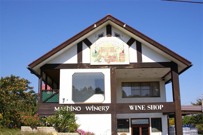 MW15-25E 信州産 フルーツジュースセット（ふじ／桃／洋梨 500ml×3本）// 長野県 南信州 国産 ストレートジュース フジ もも ピーチ 洋なし りんご リンゴ 果汁100％ 保存料不使用