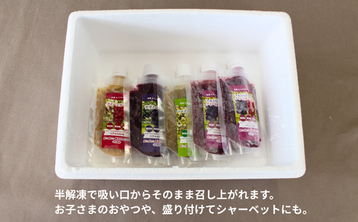 TK25-25A  ぶどう 冷凍スペシャルパウチ リアル100％ Lサイズ（95g） 5個 // 長野県 南信州 冷凍フルーツ 冷凍パウチ パウチ シャーベット スムージー 無添加 無加糖 無加水 葡萄 シャインマスカット ナガノパープル クインルージュ