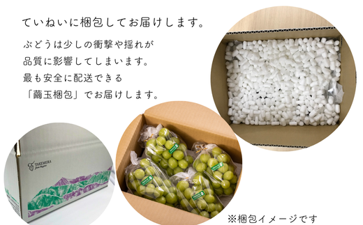 TK37-26A 【先行予約】【家庭用】 ぶどう2種セット （ナガノパープル・クイーンルージュ®） 約2kg ／ 2026年9月中旬～10月中旬頃 配送予定 // 長野県 南信州 種なし 葡萄 セット ナガノパープル クイーンルージュ お試し 訳あり お取り寄せ 詰め合わせ