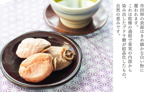 TS03-25A  市田柿 Lサイズ 約800g（ご家庭用大袋）／2025年12月1日頃から3月上旬頃にかけて順次発送