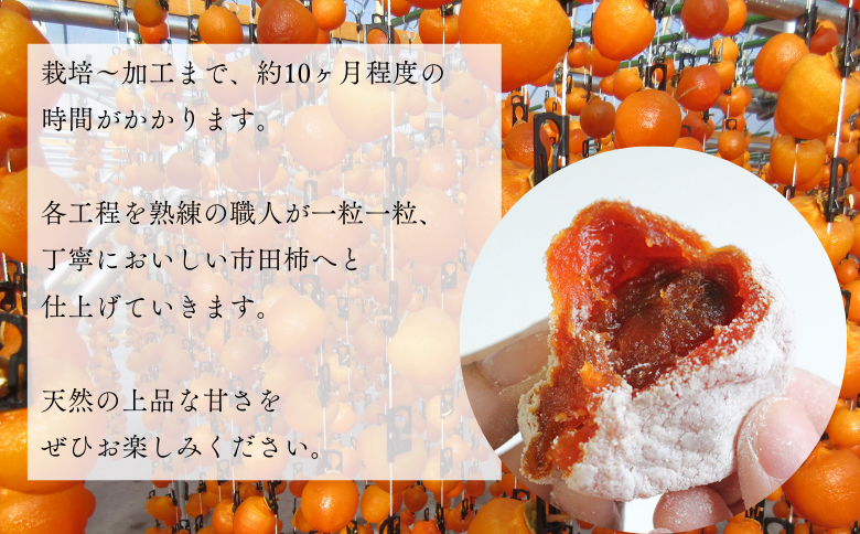 MS24-25A 市田柿 柿実 約500g×4袋（ご自宅用）／2026年1月上旬～2月下旬配送予定