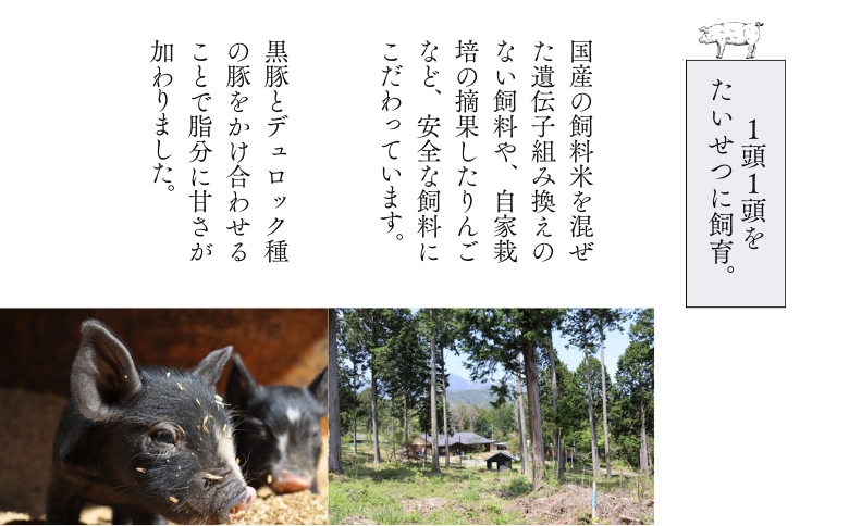 SF07-25C さんさん豚6回お届けコース（翌月より6ヶ月）｜長野県産豚肉 南信州 ポーク ステーキ バークシャー種 薄切り 味噌漬け 安全 安心 定期便 毎月届く 贈答 ギフト