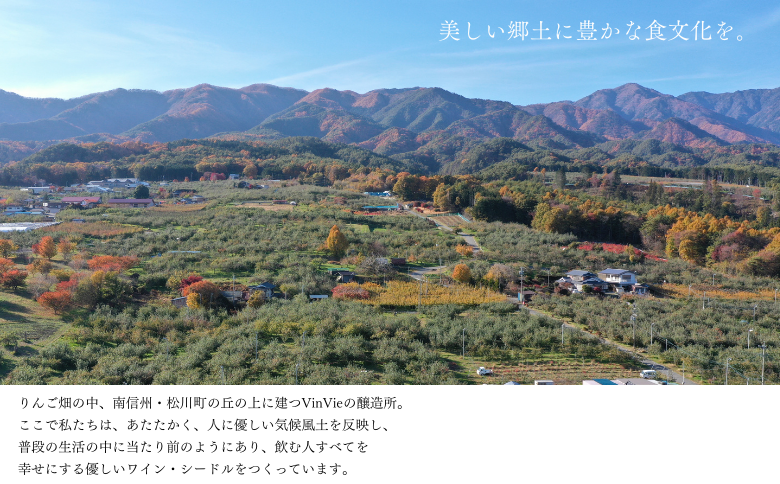VI01-25F VinVieシードル（750ml）｜ 長野県 南信州 シードル りんごのお酒 贈答 ギフト