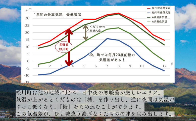 AS13-25A りんご サンふじ 越年自家用（松川町産）約10kg ／2026年1月中旬～2月中旬頃配送予定
