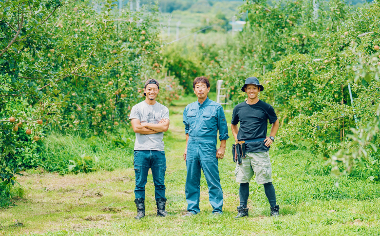 FG07-25F マルカメシードル3本セット／2025年7月下旬以降発送予定｜長野県 信州 りんごのお酒 シードル ギフト 贈答