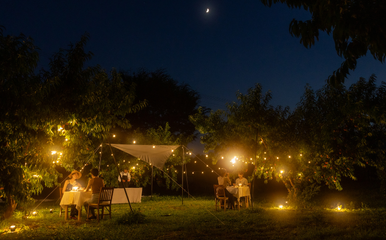 MC03-25H Orchardレストランまつかわ 利用券（2名様分）//長野県 南信州 松川町 ガストロノミー りんごの木のオーナー 食事 フレンチ ランチ ディナー 野外体験 屋外レストラン 女子旅 デート ペアチケット