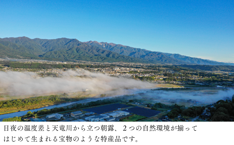 JA20-25A 干柿 市田柿 桐化粧箱 厳選20粒 約680g／2026年1月中旬頃配送 ｜長野県 南信州 干し柿 桐箱 贈答 ギフト お取り寄せ