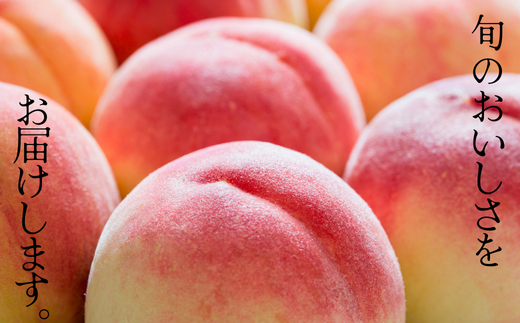 JA03-26A【先行予約】桃 あかつき 約5kg／2026年7月下旬～8月上旬頃 配送予定 // 贈答 センサ ー選別 糖度センサー 桃 もも 果物 フルーツ ギフト あかつき 太鼓判 優糖生