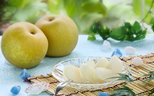 JA05-26A【先行予約】梨 幸水 約5kg／2026年8月中旬～9月上旬頃 配送予定 // 贈答 センサー選別 糖度センサー 梨 なし ナシ 果物 フルーツ ギフト 幸水 太鼓判 優糖生