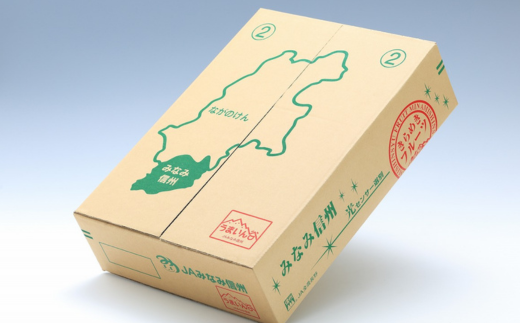 JA09-26A 【先行予約】 梨 南水 約5kg / 2026年9月中旬〜10月中旬頃 配送予定 // 贈答 センサー選別 糖度センサー 梨 なし ナシ 果物 フルーツ ギフト 南水 太鼓判 優糖生