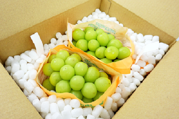 JA11-26A 【先行予約】ぶどう シャインマスカット 約2kg / 2026年9月中旬～10月中旬頃 配送 // 長野県 南信州 シャイン マスカット 種無し 大粒 甘い 葡萄 人気 新鮮 厳選 贈答