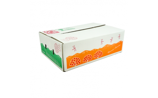 JA31-26A 【先行予約】梨 豊水 約2kg / 2026年9月上旬～9月下旬頃 配送予定 // 贈答 センサー選別 糖度センサー 梨 なし ナシ 果物 フルーツ ギフト 豊水 太鼓判 優糖生