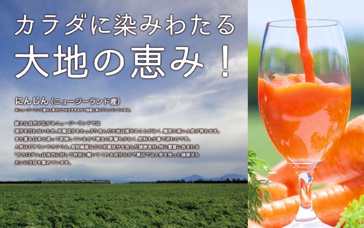 MK09-25E 【砂糖不使用】 順造選 元気モリモリ にんじんジュース（人参汁100％）500ml × 12本 // 野菜ジュース 100％ジュース ストレート 人参 砂糖不使用 無加糖 無香料 無着色 健康 美容 栄養補給 MK08 MK09 MK10 500ml×12本