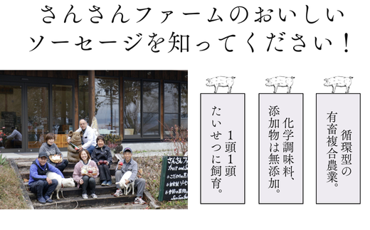 SF02-25C 無添加！さんさん豚ソーセージセットA （140g×4種類入）【化学調味料不使用】｜ 長野県産豚肉 南信州 ポーク バークシャー種 安全 安心 冷凍 贈答 ギフト