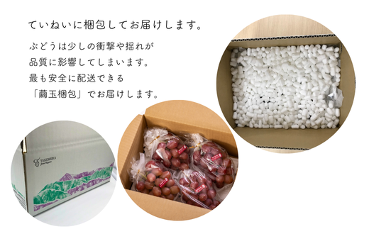 TK08-26A 【先行予約】 ぶどう クイーンルージュ® 約2kg ／ 2026年9月下旬～10月頃 配送予定 // 長野県 南信州 葡萄 ぶどう 新鮮 種なし 希少 甘い ルージュ クインルージュ