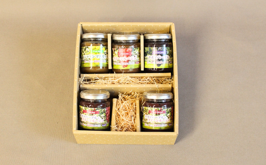 TK28-25A 新世代ぶどうジャム4種＋おまけスプレッド // 長野県 松川町産 南信州 ぶどう シャインマスカット ナガノパープル クイーンルージュ® 寒天 ギフト 詰合せ フルーツジャム 香料不使用 着色料不使用