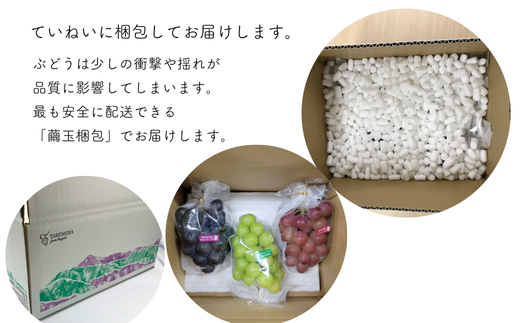 TK32-26A 【先行予約】 ぶどう3種セット 【家庭用】 （ナガノパープル／シャインマスカット／クイーンルージュ®） 約1.5kg ／ 2026年9月初旬～10月頃 配送予定 // ぶどう 葡萄 3種セット 食べ比べ 長野県 信州 詰め合わせ 家庭用 訳あり 種なし パープル シャイン マスカット ルージュ