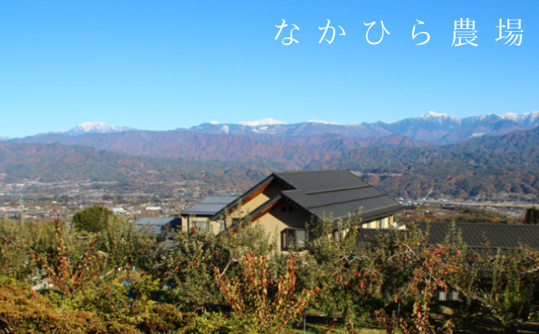 NH01-25E 国産果汁 フルーツスムージーセット（180ml×10本） // 長野県 南信州 ストレートスムージー 無加糖 無塩 香料不使用 着色料不使用 保存料不使用 農水大臣賞 天皇杯