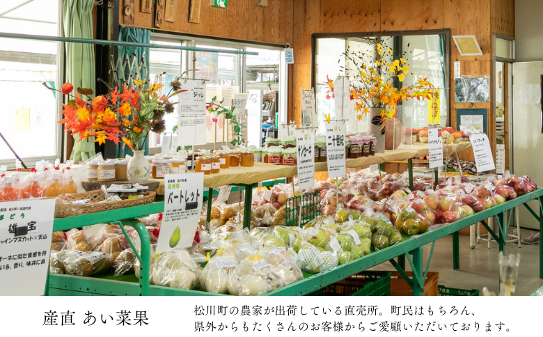 AS13-25A りんご サンふじ 越年自家用（松川町産）約10kg ／2026年1月中旬～2月中旬頃配送予定