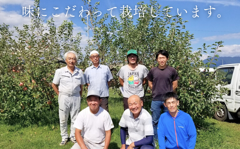 KR16-25A  【年内配送】りんご サンふじ（小玉）贈答 約5kg / 11月下旬頃～配送予定 ｜ 南信州産 長野県 りんご サンふじ 約5kg