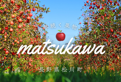 FF19-01 FUTURE FOX アイロンストーブ　全2色（オリーブ・ブラック）オリーブ // FUTURE FOX アイロンストーブ オイルランタン キャンプストーブ ストーブ ランプ 調理 照明 暖房 フューチャーフォックス オリーブ