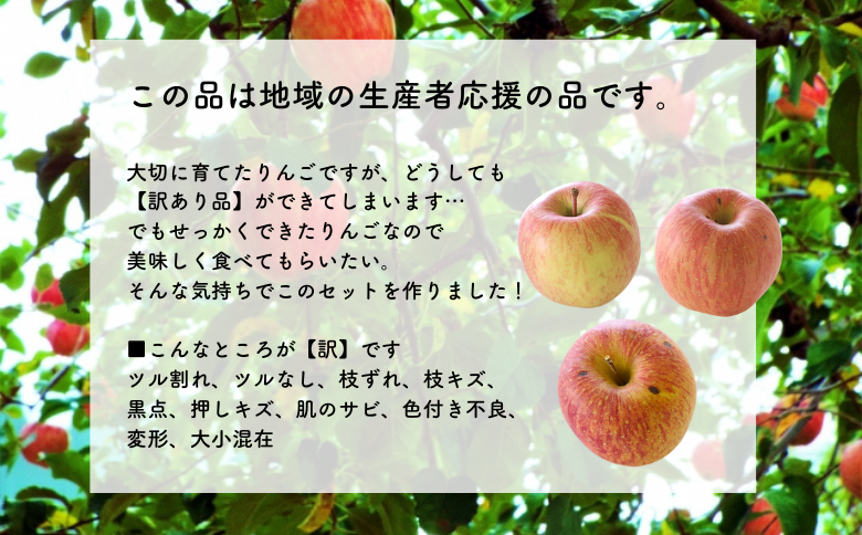 MS17-25A りんご サンふじ（長野県産訳あり品） 約5kg／2026年1月上旬～2月上旬頃配送予定