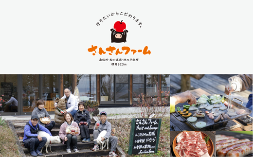 SF02-25C 無添加！さんさん豚ソーセージセットA （140g×4種類入）【化学調味料不使用】｜ 長野県産豚肉 南信州 ポーク バークシャー種 安全 安心 冷凍 贈答 ギフト