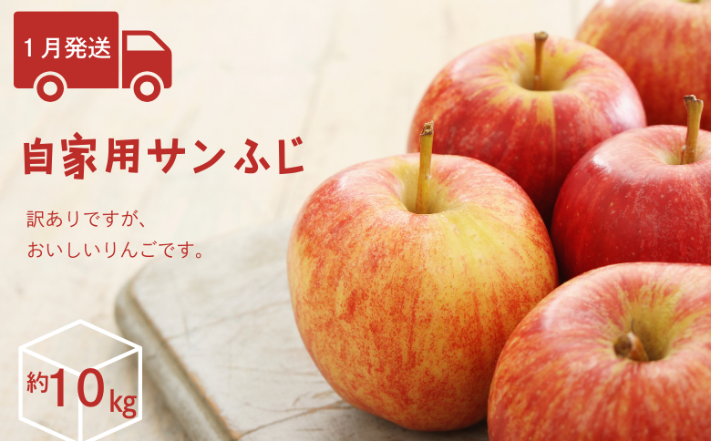 AS13-25A りんご サンふじ 越年自家用（松川町産）約10kg ／2026年1月中旬～2月中旬頃配送予定