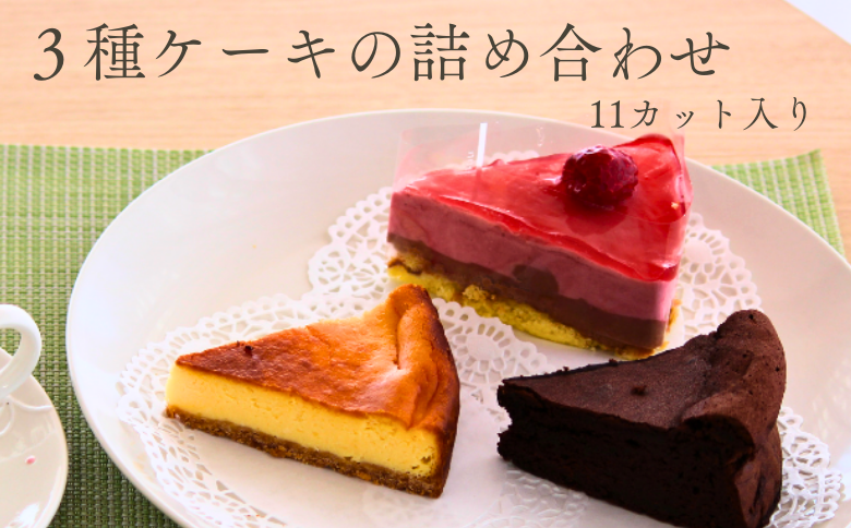 EN02-25D ケーキ詰め合わせ11個（ガトーショコラ／チーズケーキ／フランボワーズショコラ）｜長野県 信州 カットケーキ アソート 福祉 障碍者支援