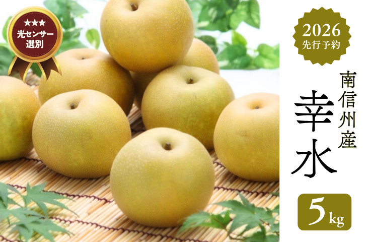 JA05-26A【先行予約】梨 幸水 約5kg／2026年8月中旬～9月上旬頃 配送予定 // 贈答 センサー選別 糖度センサー 梨 なし ナシ 果物 フルーツ ギフト 幸水 太鼓判 優糖生