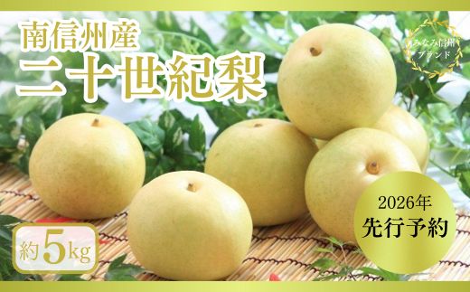 JA07-26A【先行予約】梨 二十世紀 約5kg / 2026年9月上旬～9月下旬頃 配送予定 // 贈答 センサー選別 糖度センサー 梨 なし ナシ 果物 フルーツ ギフト 二十世紀 二十世紀梨 太鼓判