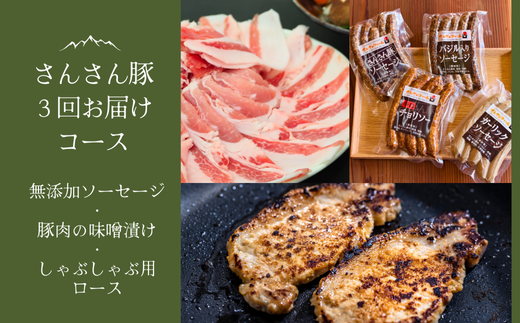 SF06-25C さんさん豚3回お届けコース（翌月より3ヶ月）｜長野県産豚肉 南信州 ポーク ステーキ バークシャー種 薄切り 味噌漬け 安全 安心 定期便 毎月届く 贈答 ギフト