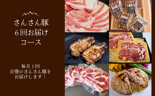 SF07-25C さんさん豚6回お届けコース（翌月より6ヶ月）｜長野県産豚肉 南信州 ポーク ステーキ バークシャー種 薄切り 味噌漬け 安全 安心 定期便 毎月届く 贈答 ギフト