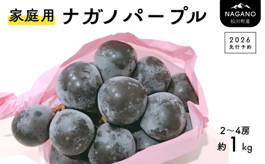 TK18-26A 【先行予約】 ぶどう ナガノパープル 家庭用 約1kg ／ 2026年9月上旬～中旬頃 配送予定 // 種なし 皮ごと 南信州 長野県 オリジナル品種 稀少 人気 自家用 訳あり お試し