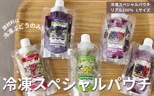 TK25-25A  ぶどう 冷凍スペシャルパウチ リアル100％ Lサイズ（95g） 5個 // 長野県 南信州 冷凍フルーツ 冷凍パウチ パウチ シャーベット スムージー 無添加 無加糖 無加水 葡萄 シャインマスカット ナガノパープル クインルージュ