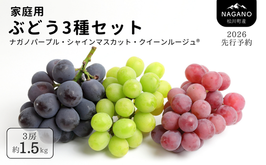 TK32-26A 【先行予約】 ぶどう3種セット 【家庭用】 （ナガノパープル／シャインマスカット／クイーンルージュ®） 約1.5kg ／ 2026年9月初旬～10月頃 配送予定 // ぶどう 葡萄 3種セット 食べ比べ 長野県 信州 詰め合わせ 家庭用 訳あり 種なし パープル シャイン マスカット ルージュ