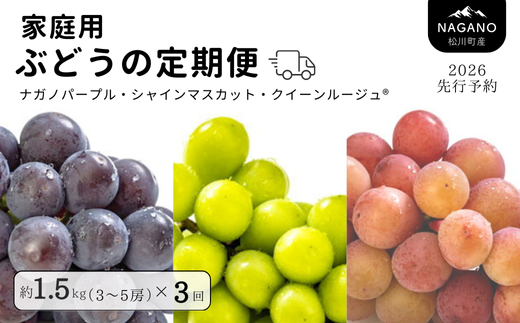 TK33-26A 【先行予約】 ぶどうの定期便 【家庭用】 （ナガノパープル／シャインマスカット／クイーンルージュ🄬） 約1.5kg×3回 ／ 2026年9月上旬～10月頃 配送予定 // 長野県 南信州 種なし 皮ごと 定期便 食べ比べ ギフト 新鮮 希少 家庭用 訳あり パープル シャイン マスカット ルージュ クイーン