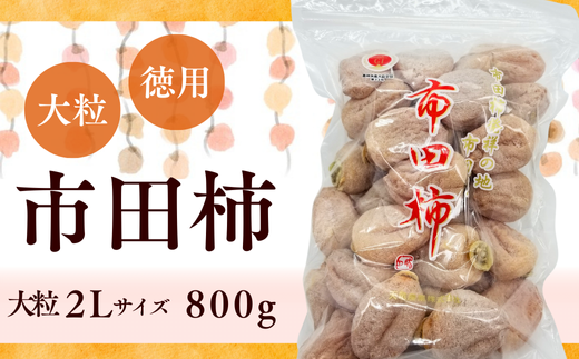 TS02-25A 市田柿 2Lサイズ 約800g（ご家庭用大袋）／2025年12月上旬頃～2025年3月上旬配送予定