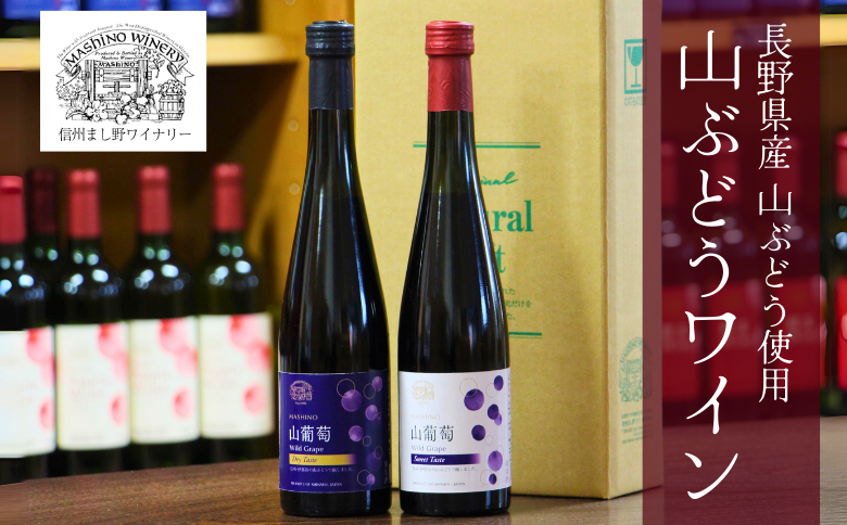 MW12-25F 山葡萄ワイン2種セット（500ml×2本）// 長野県 南信州 山ぶどう 山葡萄 贈答 ギフト 稀少 甘口ワイン 辛口ワイン