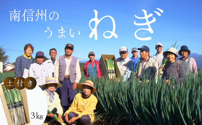 JA24-25B 土付きねぎ 約3kg / 2025年12月中旬〜2026年2月上旬頃配送予定｜長野県 南信州産 野菜 信州野菜 新鮮 長ネギ ネギ 長ねぎ 白ねぎ 白ネギ