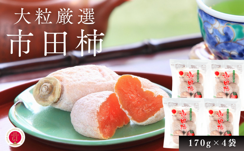 JA38-25A 市田柿 大粒2Lサイズ 170g×4袋／2026年1月中旬～2月上旬ごろ配送 ｜長野県 南信州 干し柿 市田柿 大粒 2Lサイズ 贈答 高糖度 高品質