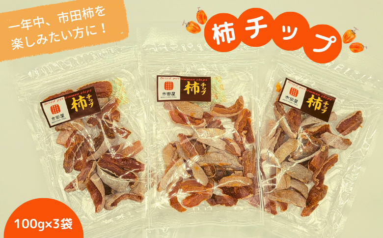 TS06-25A 市田柿 柿チップ（約100g×3袋）