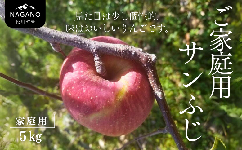 KR17-25A 【年内配送】りんご サンふじ 家庭用 （中玉） 約5kg / 11月下旬頃～配送予定 ｜ 南信州産 長野県 りんご サンふじ 約5kg