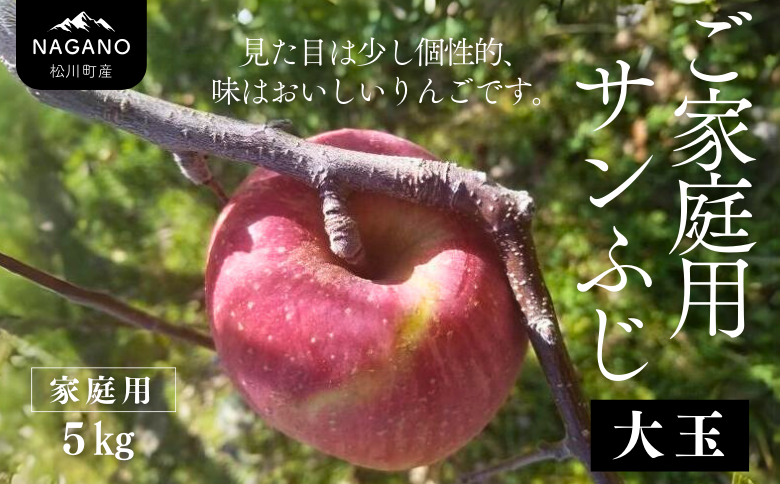 KR20-25A 【年内配送】りんご サンふじ  家庭用（大玉）約5kg / 11月下旬頃～配送予定 ｜ 南信州産 長野県 りんご サンふじ 約5kg
