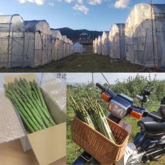 きのした農園の夏アスパラガス 2025年7月初旬より発送開始 長野県 信州 南信州 高森町 夏の味覚 夏の野菜 やさい