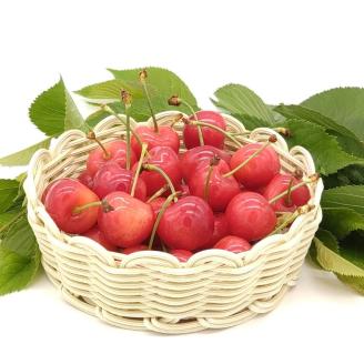 【南信州高森町】さくらんぼ狩り(3名様)