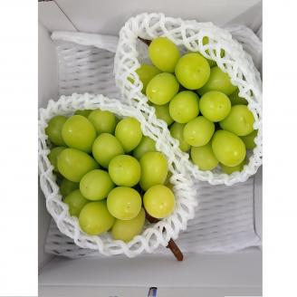 【贈答用ハウス栽培】大人気 厳選シャインマスカット 1kg(2～3房) 2026年7月中旬より発送 長野県 信州 南信州 高森町 農家直送 ぶどう 果物 くだもの 旬のぶどう シャイン ギフト