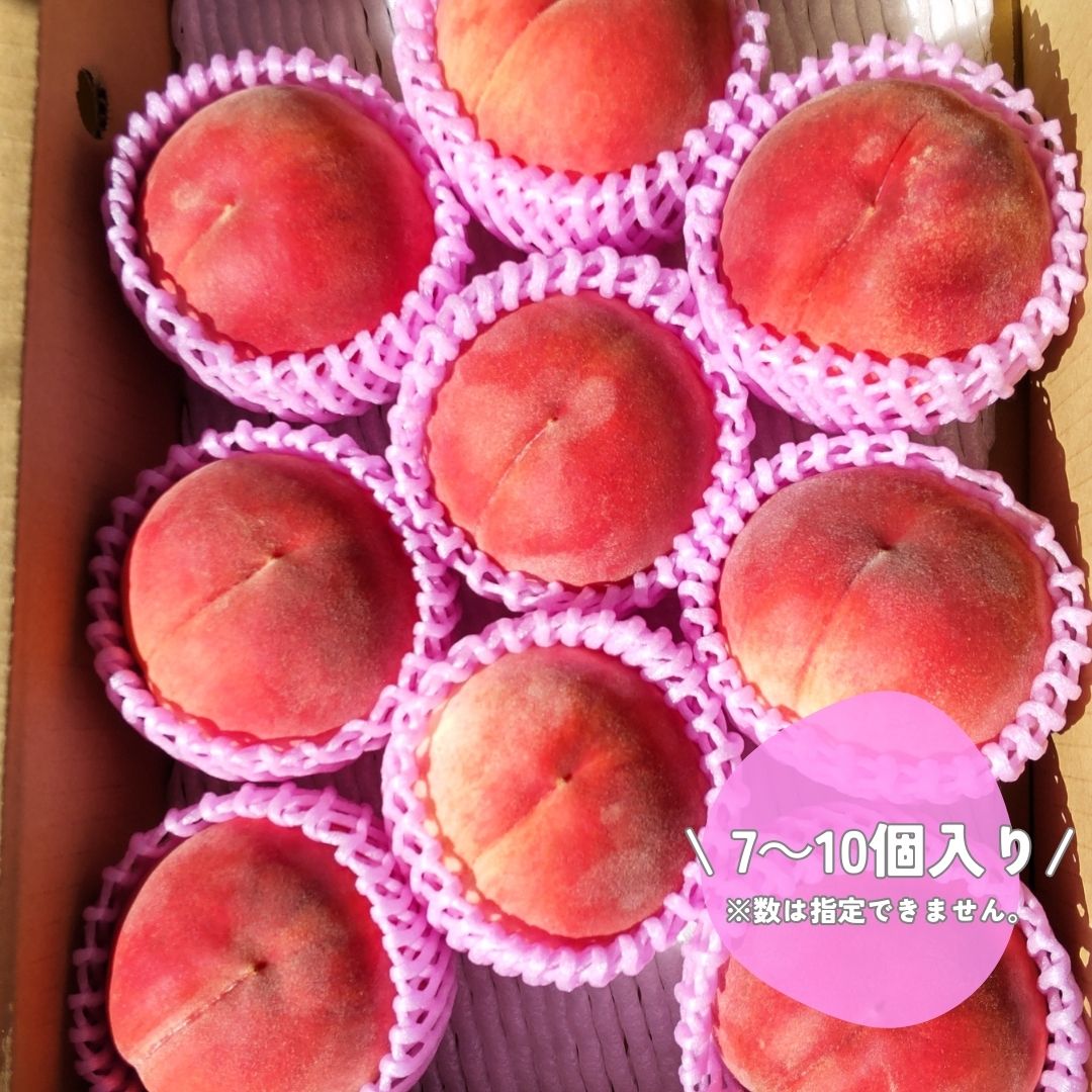 桃 あかつき 3kg（7～10個）2026年7月下旬より発送 長野県 信州 南信州 高森町 農家直送 果物 くだもの もも モモ 旬 旬の果物 旬の桃 完熟収穫 ともの谷農園