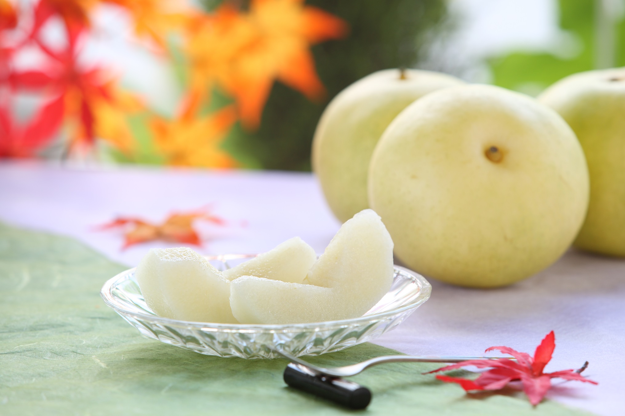 【南信州産】梨「二十世紀」秀品 約5kg（8玉～16玉） 2026年9月上旬より発送 長野県 信州 高森町 産地直送 果物 くだもの なし ナシ 和梨 旬 旬の果物 旬の梨 ギフト 贈答 JAみなみ信州