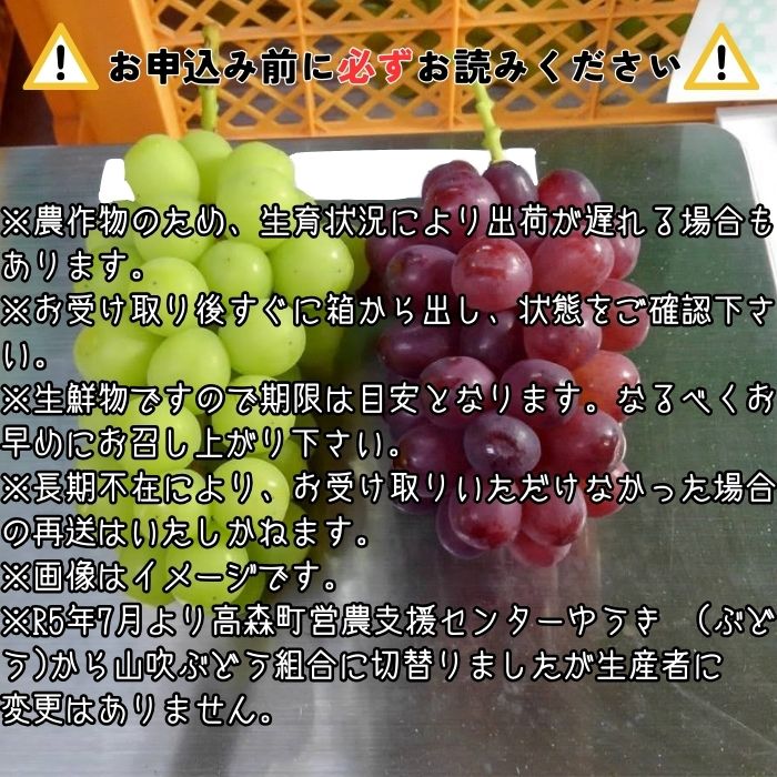 クイーンルージュTM＆シャインマスカットぶどう2種セット約1.2kg 2026年9月中旬より発送 長野県 信州 南信州 高森町 農家直送 果物 くだもの ぶどう 旬のぶどう 山吹ぶどう狩り組合